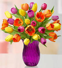 Assorted Tulips